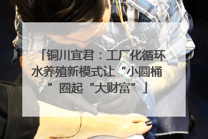 铜川宜君：工厂化循环水养殖新模式让“小圆桶”圈起“大财富”